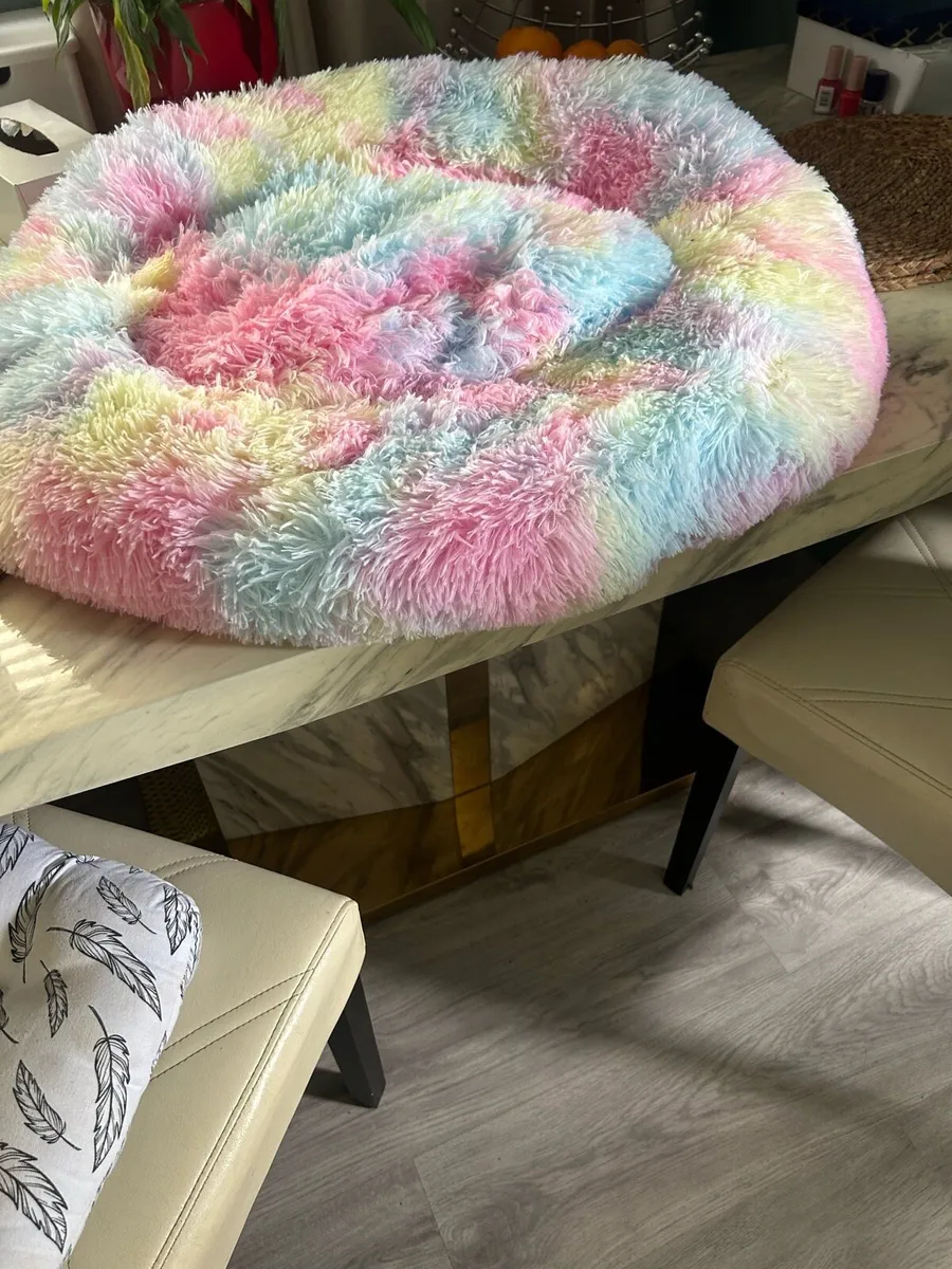 Dog beds - Image 3