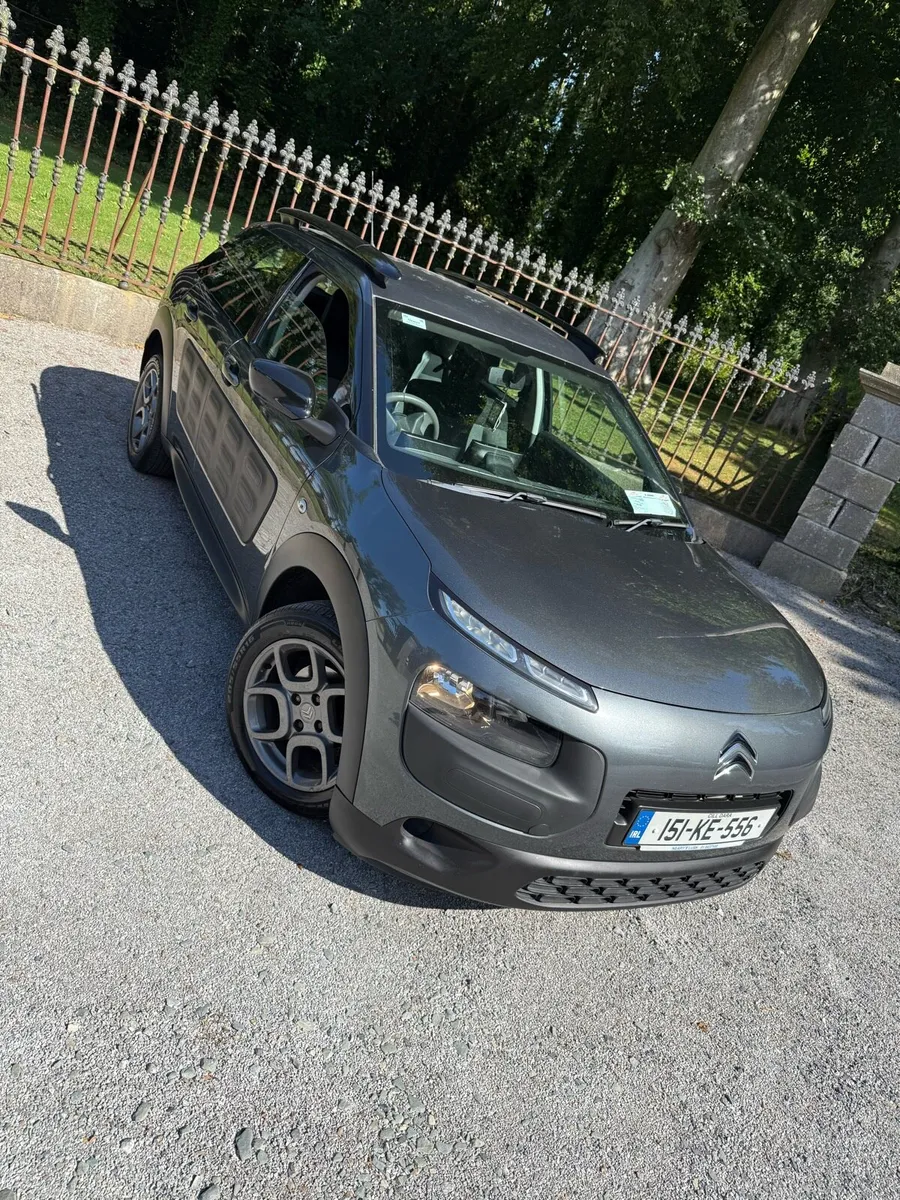 Citreon c4 cactus - Image 2