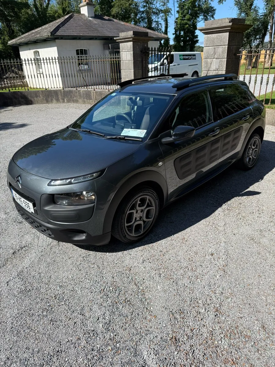 Citreon c4 cactus - Image 1