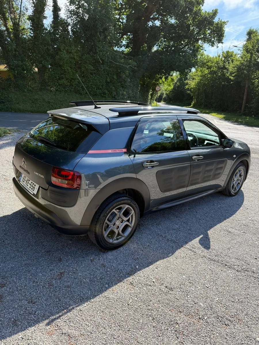 Citreon c4 cactus - Image 3