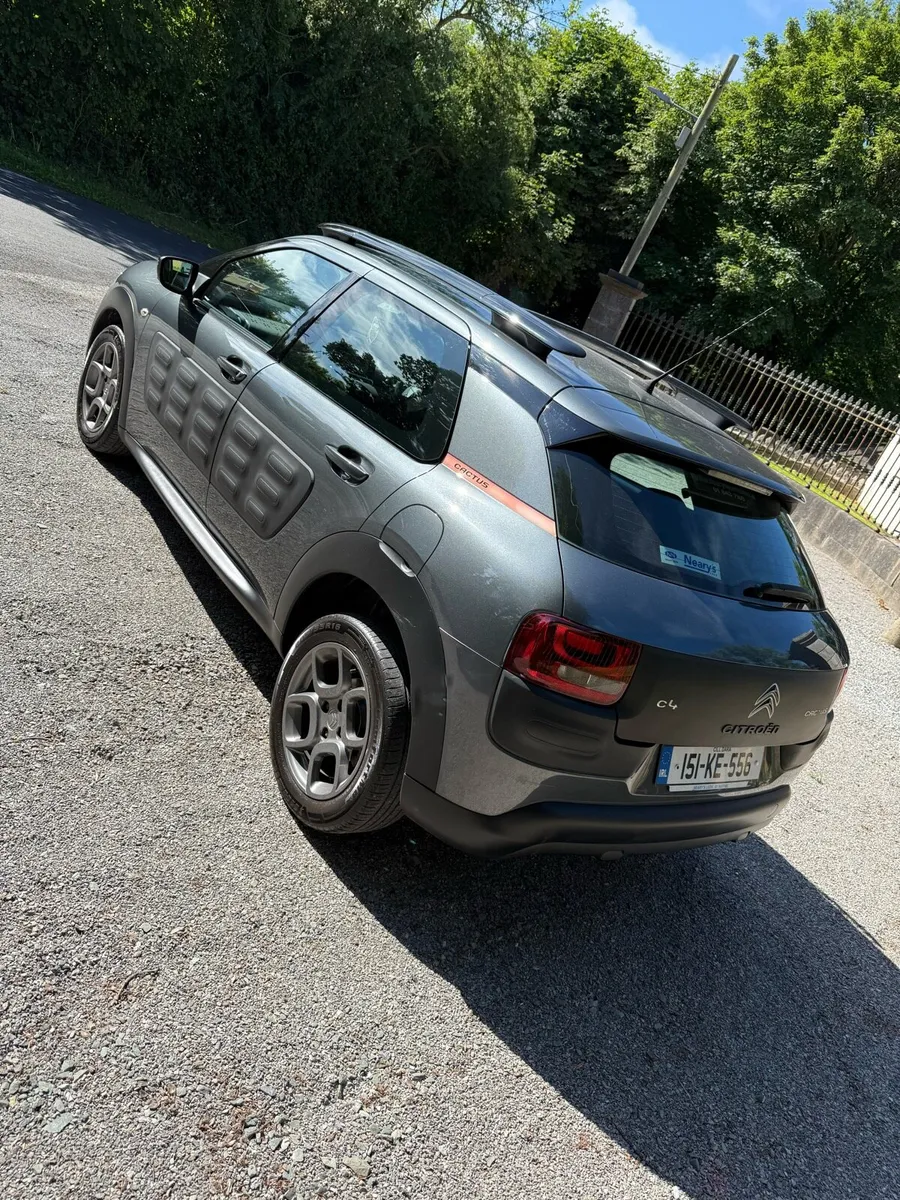 Citreon c4 cactus - Image 4