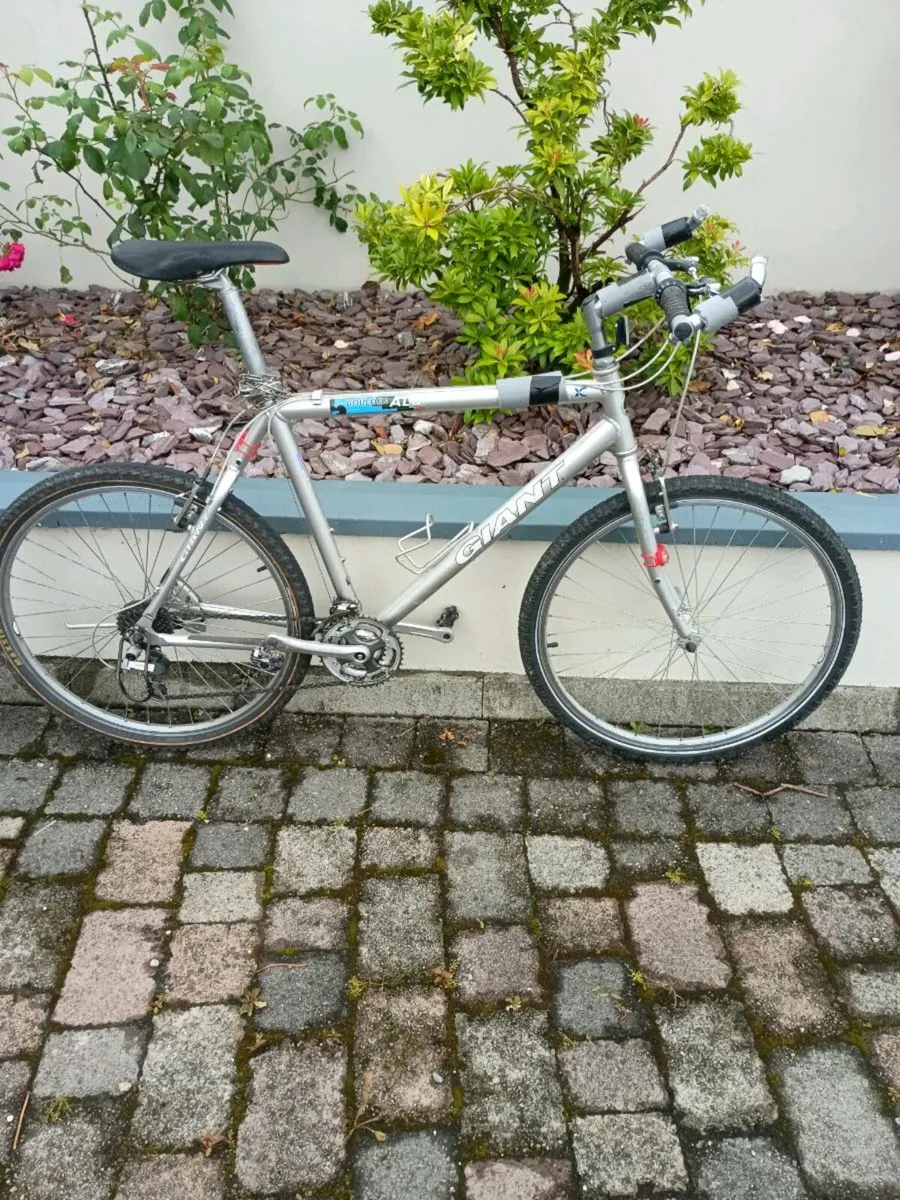 sporty bicycle Giant - Image 1
