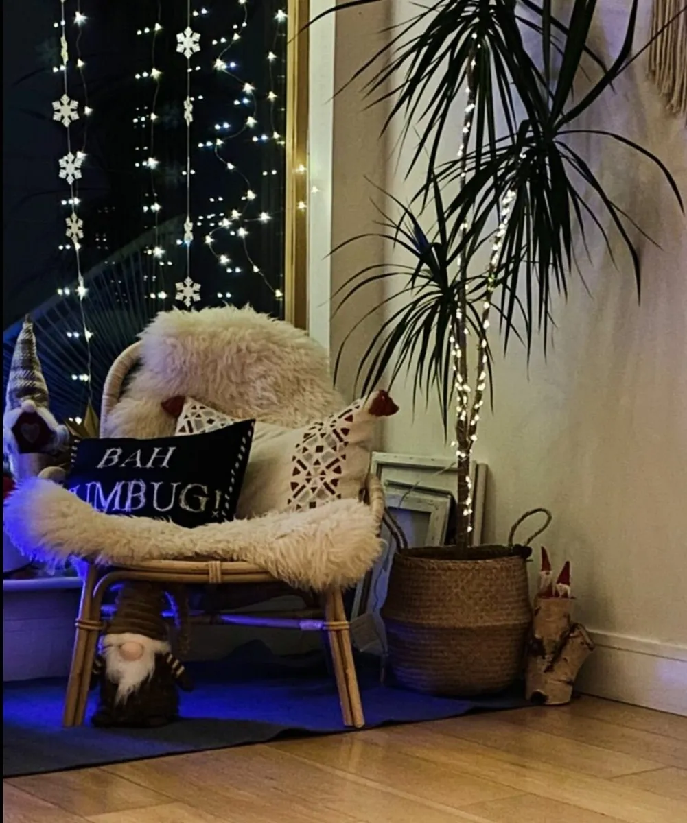 Beautiful Rattan / Wicker Chair - Image 4