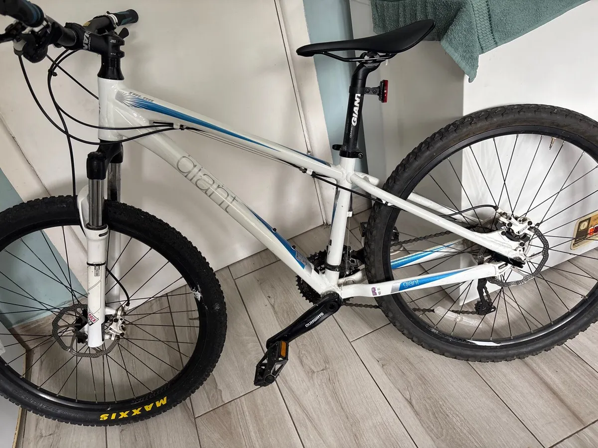 Giant Bike