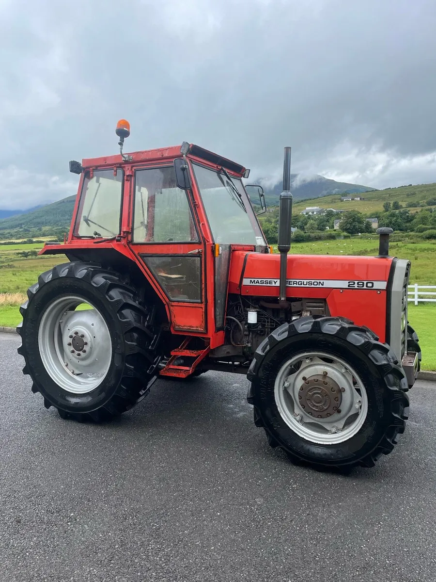 Massey Ferguson 290 - Image 2