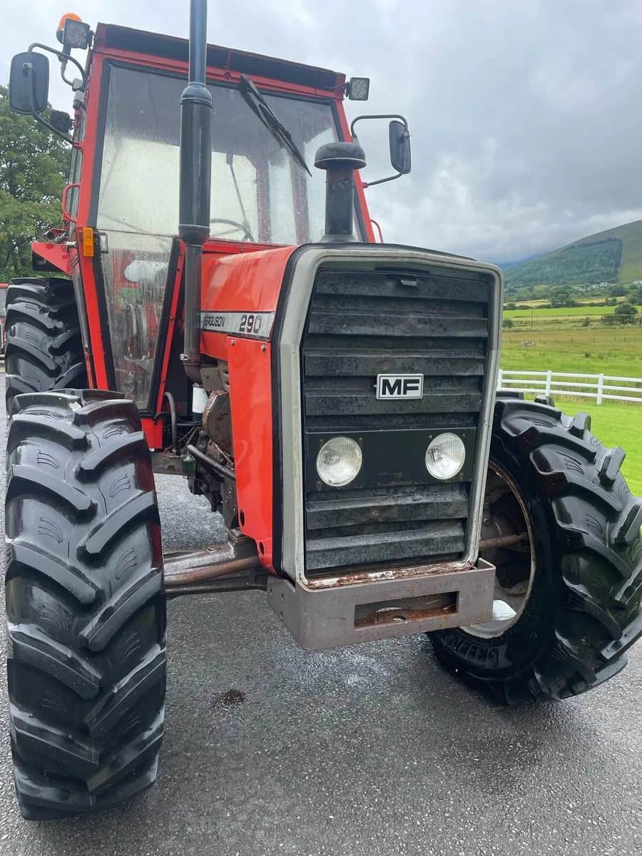 Massey Ferguson 290 - Image 3