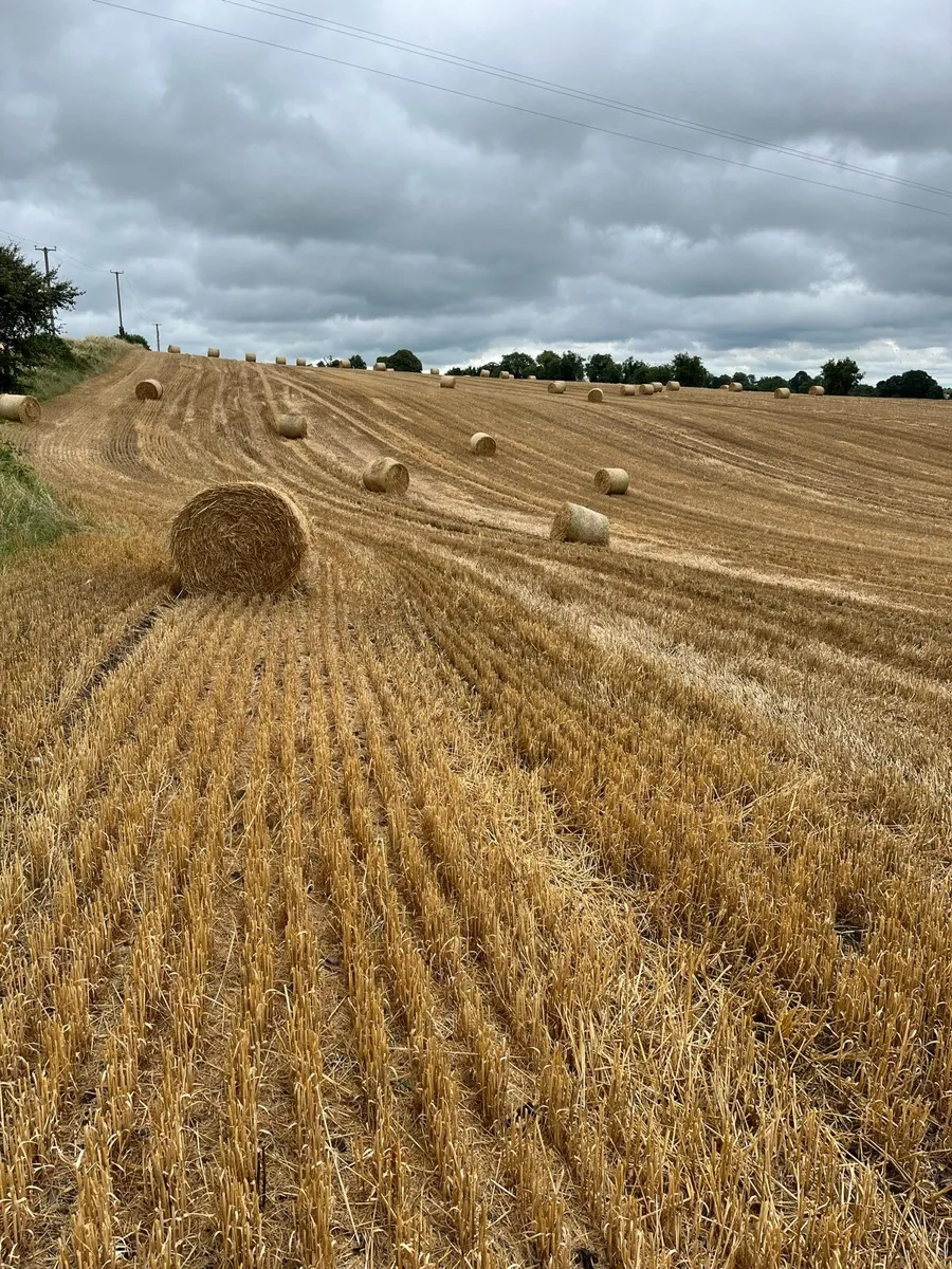 Straw - Image 1