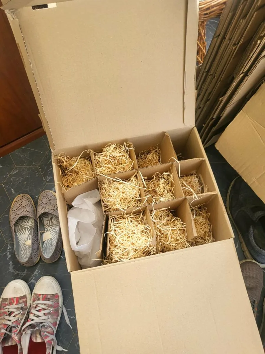 Moving Boxes - Image 4