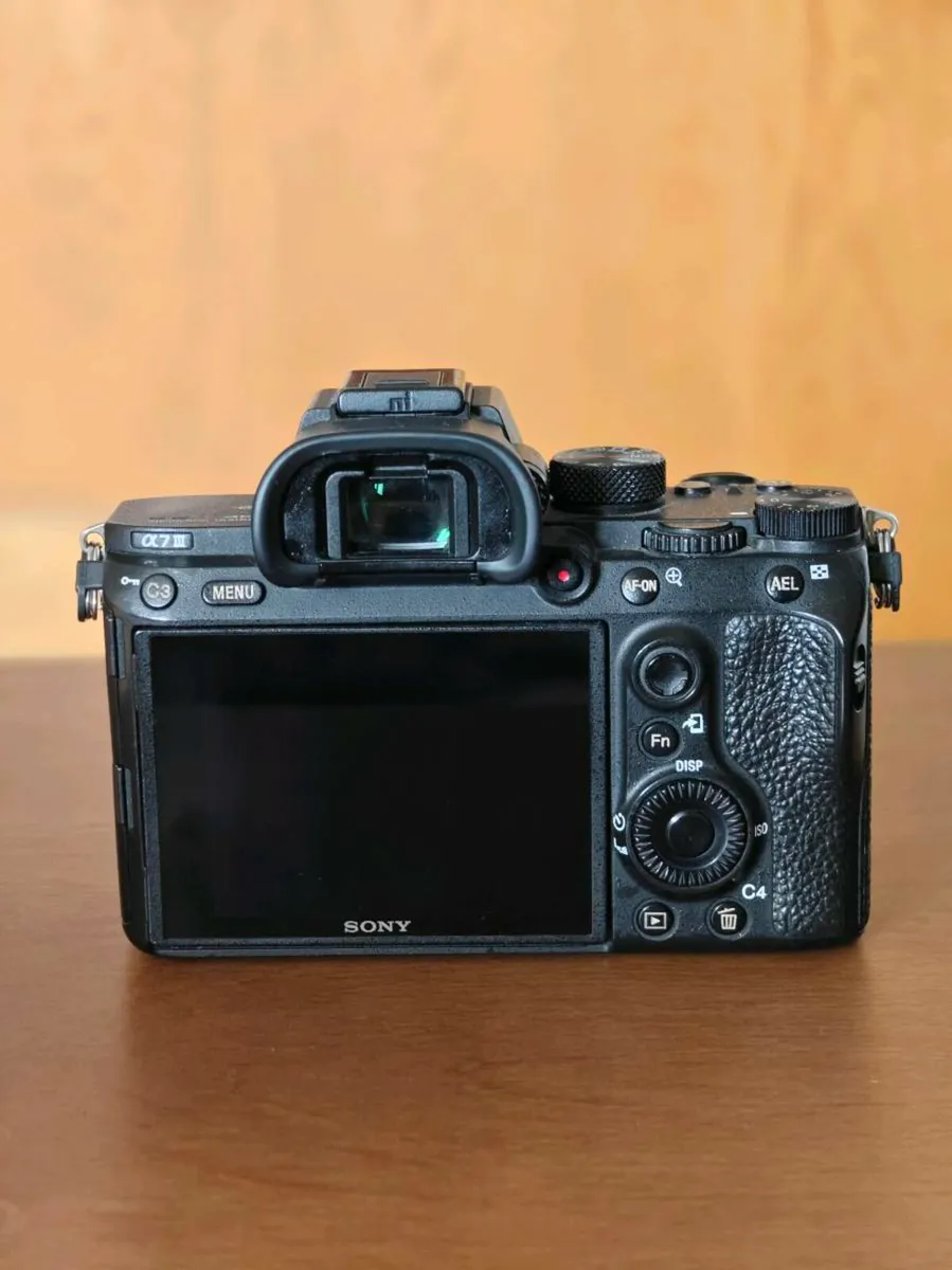 Sony a7iii - Image 2