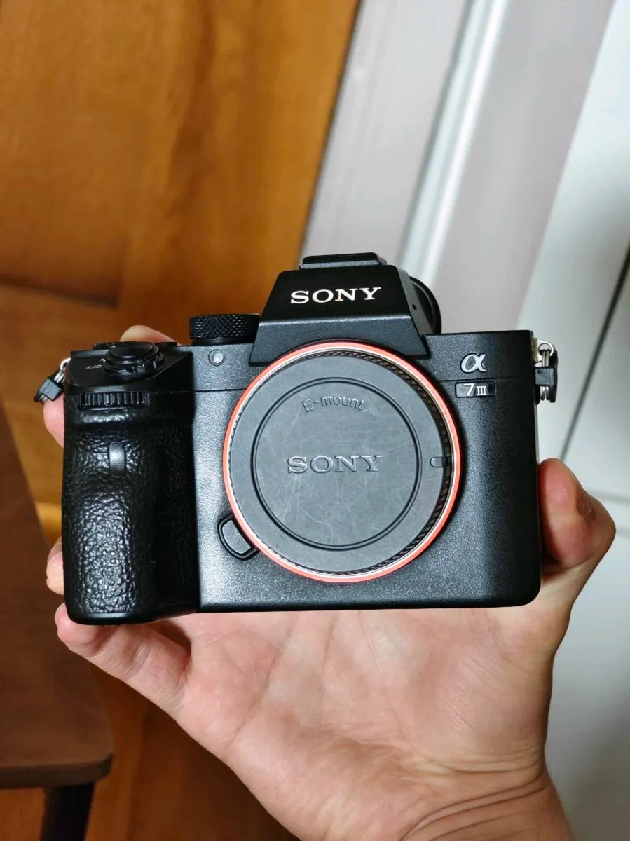 Sony a7iii - Image 4