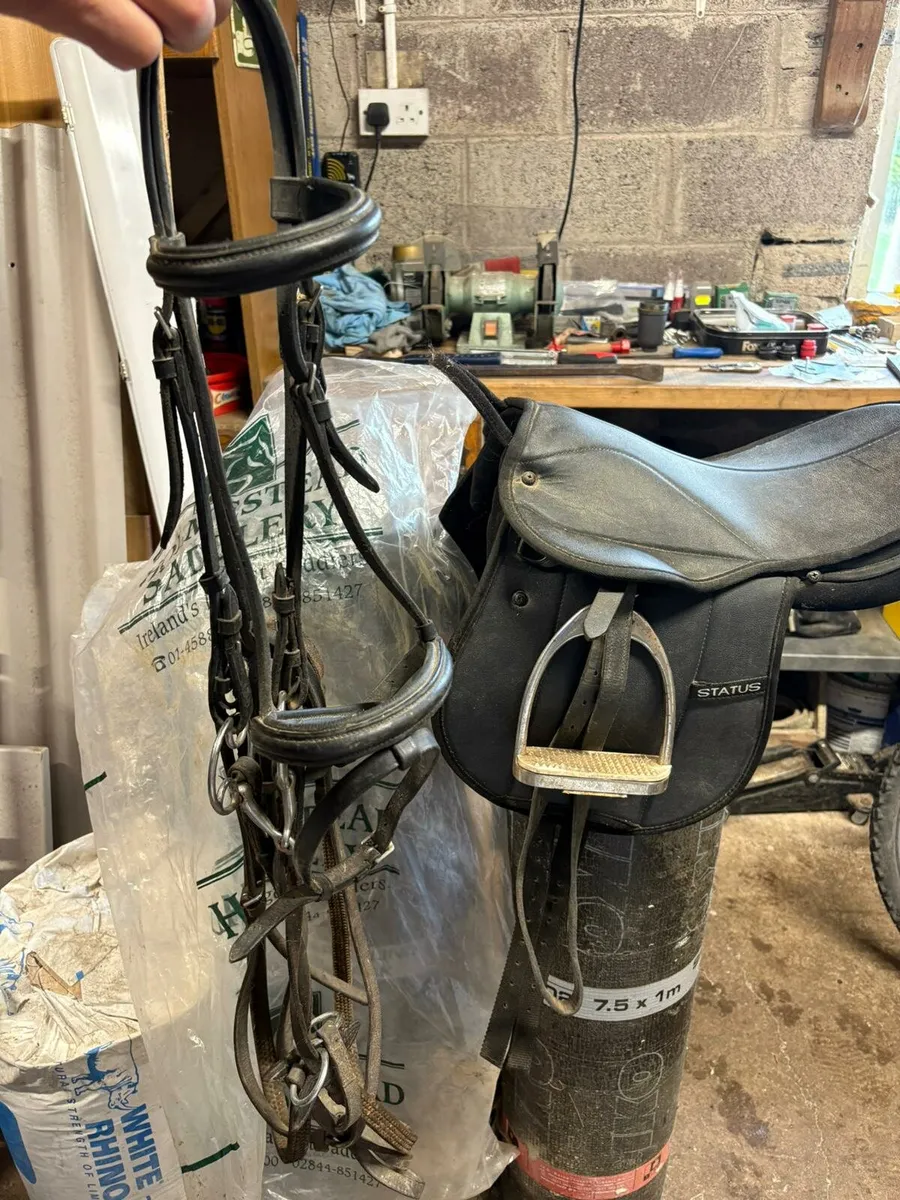 Pony Bridle and Saddle - Image 1