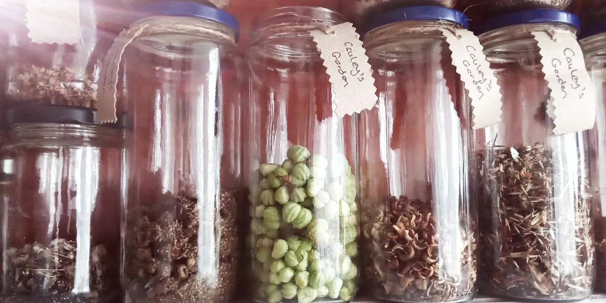 Cauley's Garden Seeds - Image 3