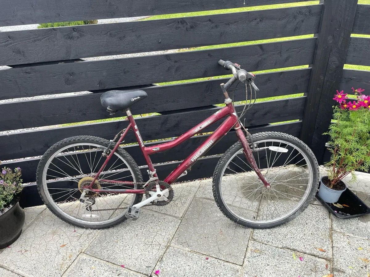 Bicycle - Venus Freespirit