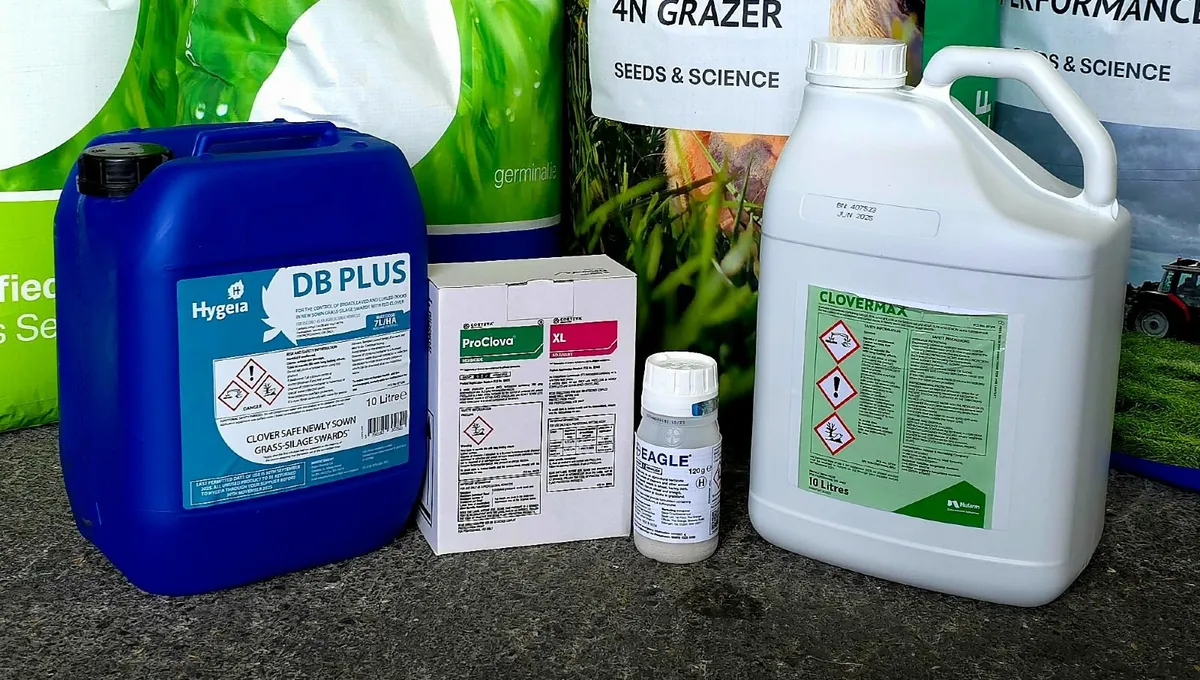 Clover Safe Spray - Image 2