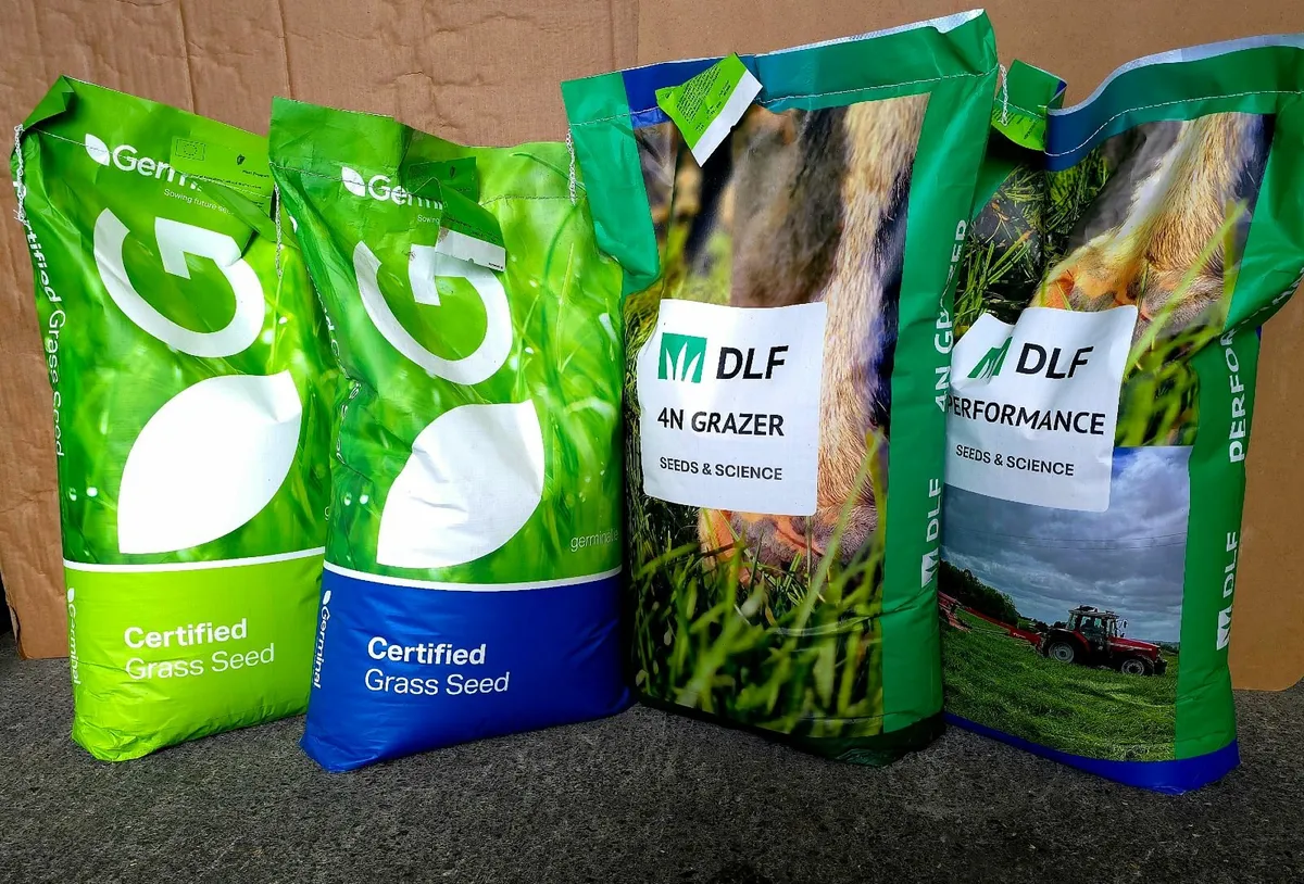 Clover Safe Spray - Image 4