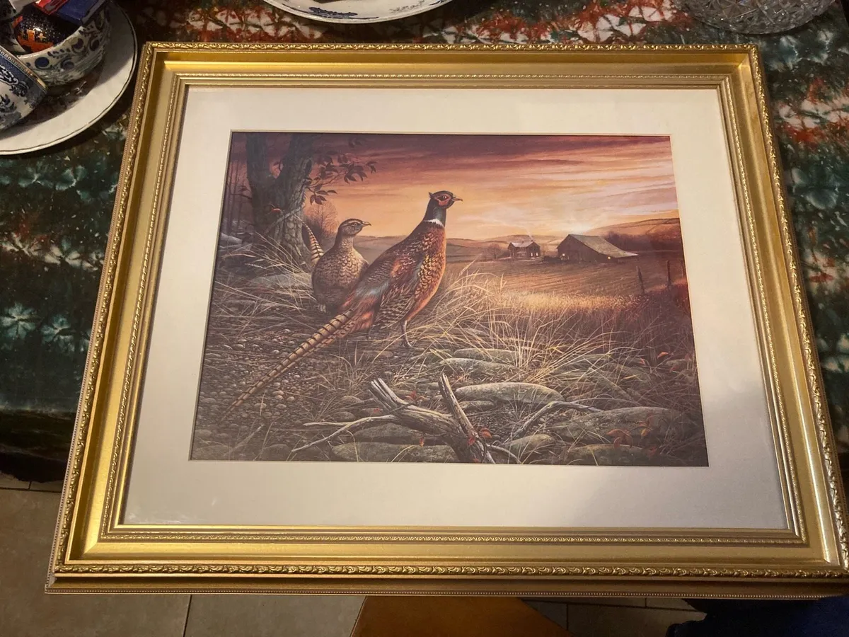 Birds print picture framed