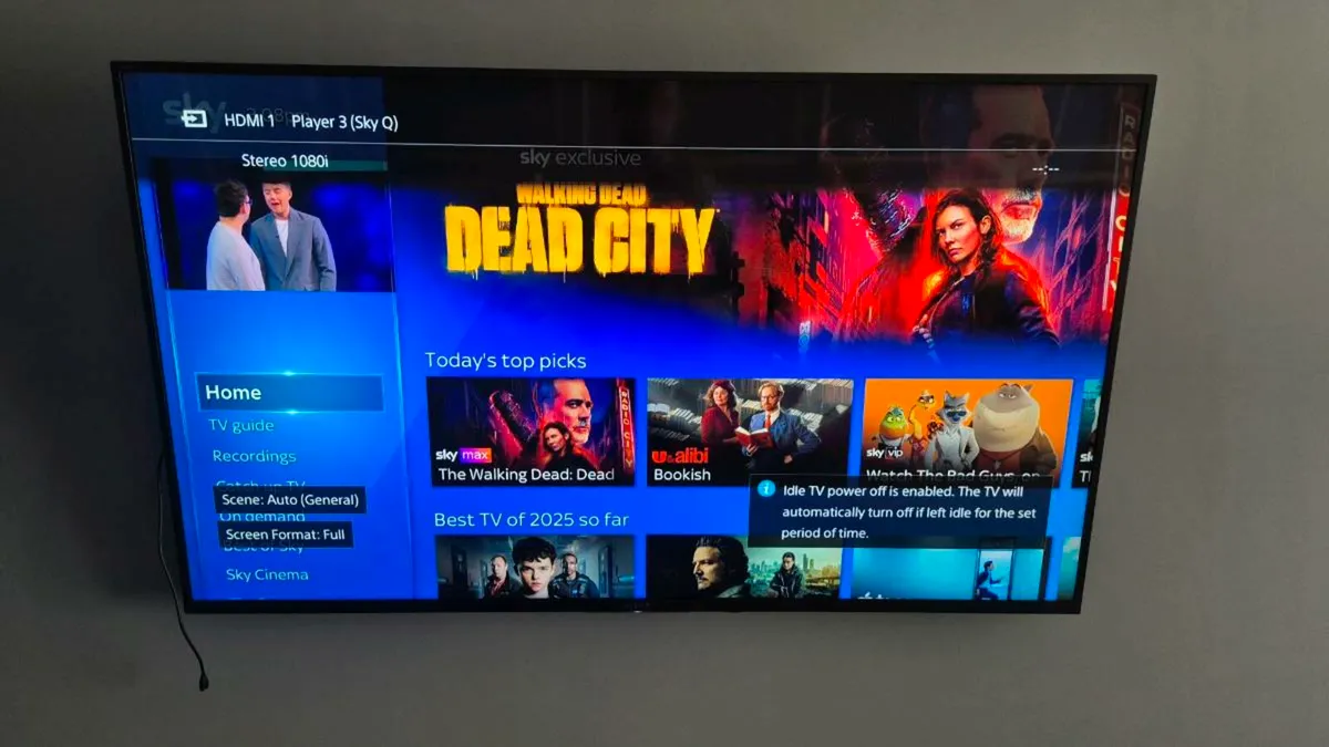 Sony Bravia 55" and full swivel bracket - Image 1
