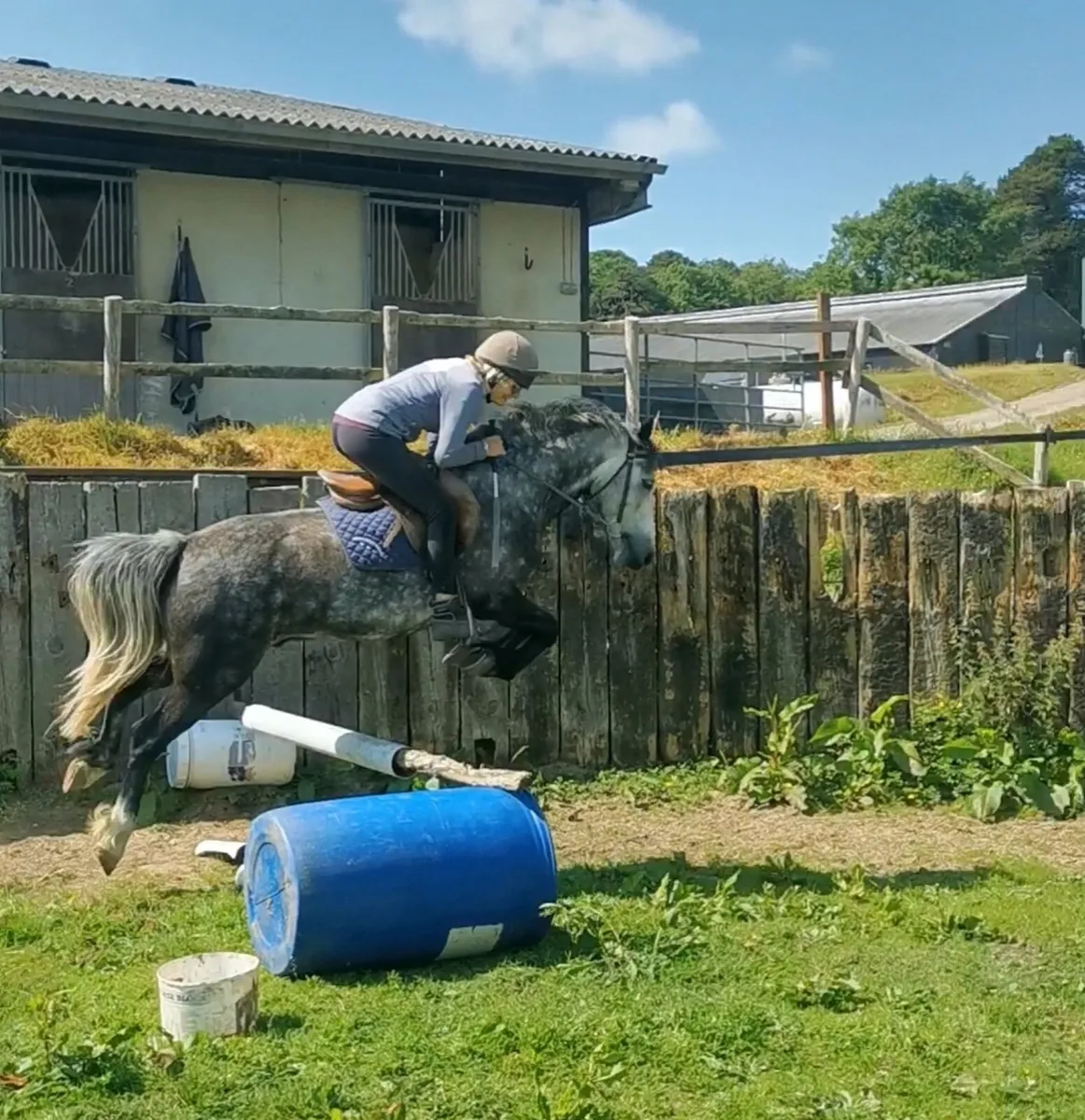 🌟13.2-13.3 5yo Great Jumper 🌟 - Image 2