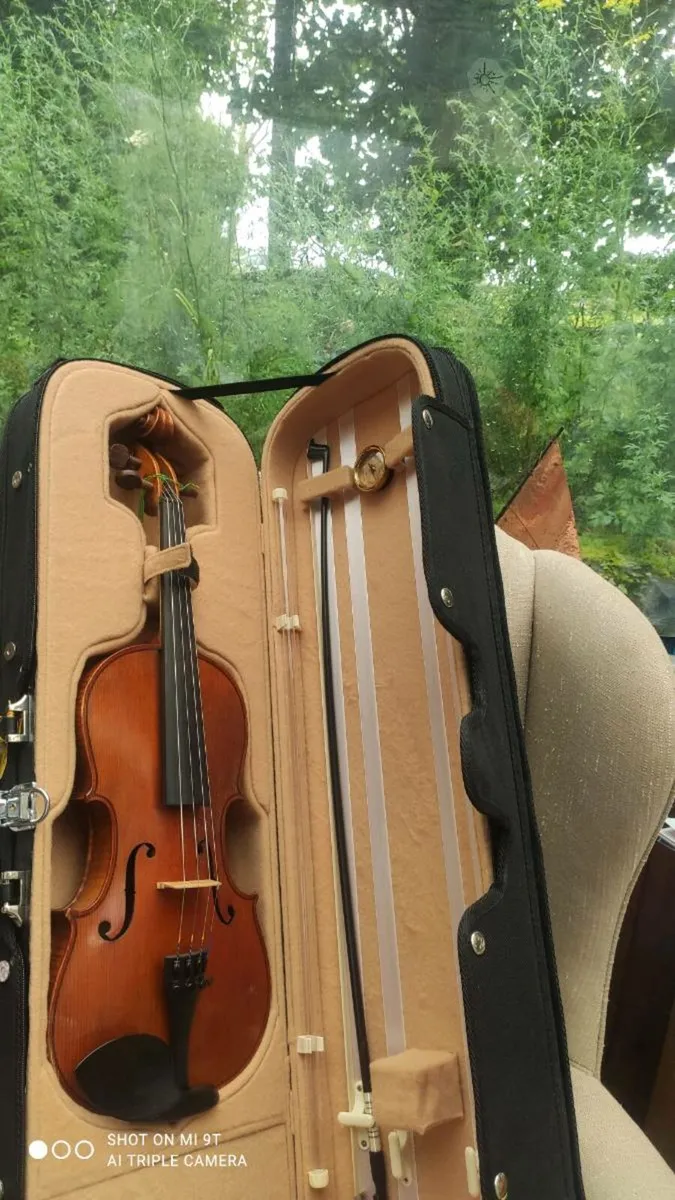 Violin - Image 2