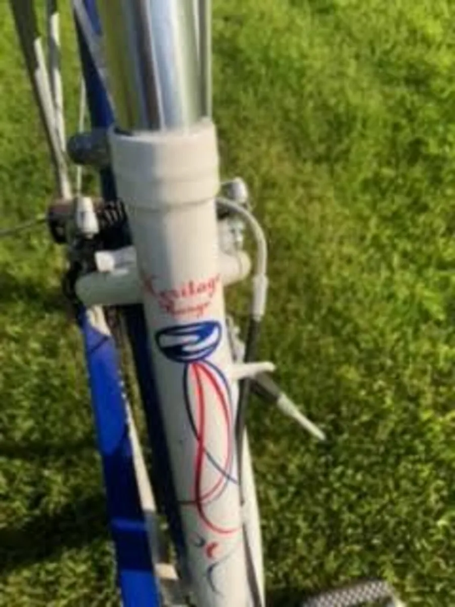 Ladies Bicycle - Image 2
