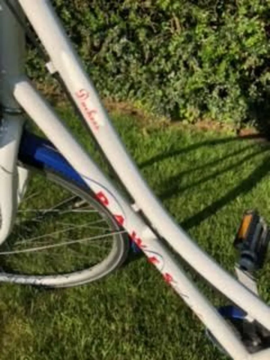 Ladies Bicycle - Image 4