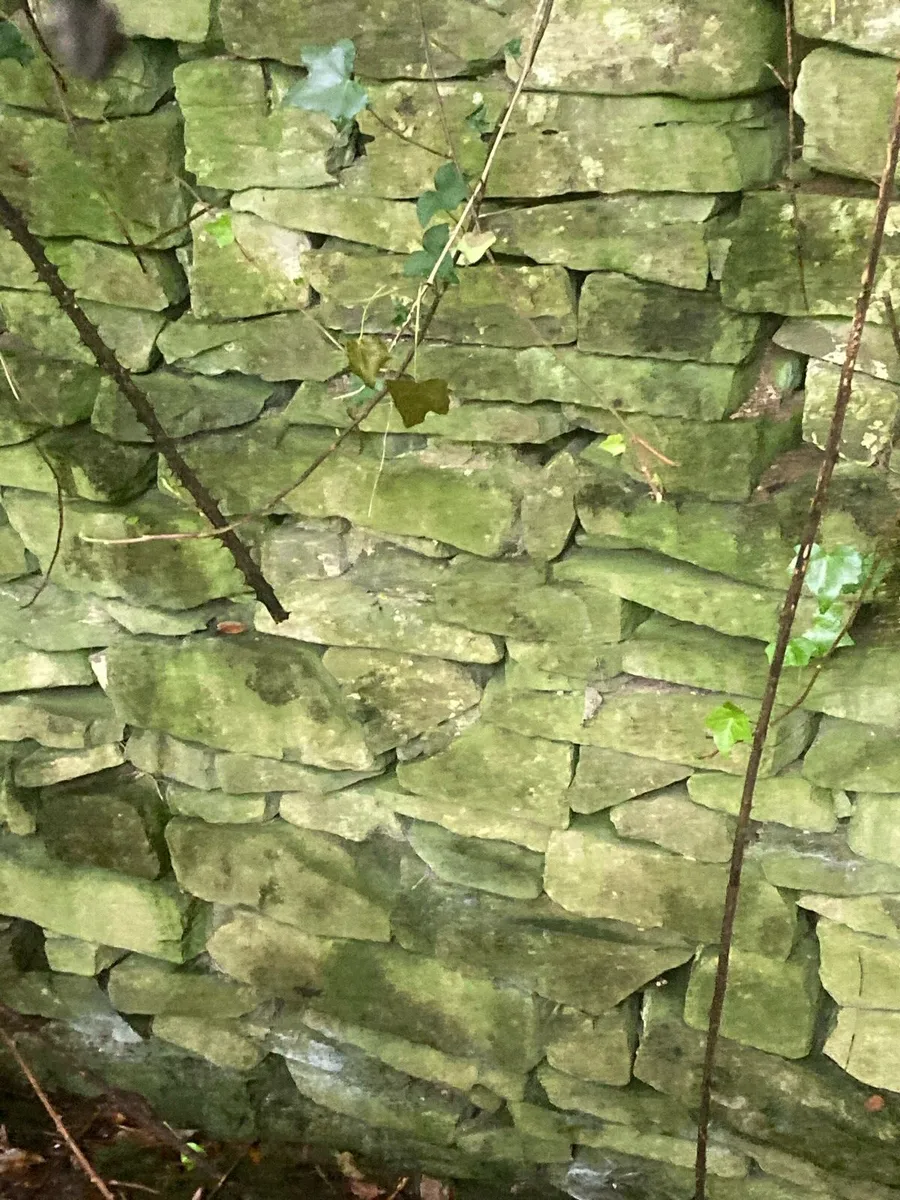 Traditional Building stone - Image 2