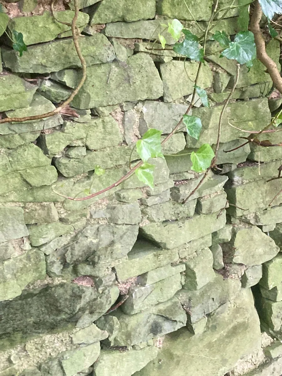 Traditional Building stone - Image 4