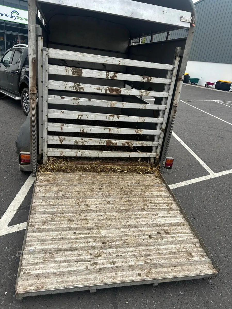 8x5 cattle trailer - Image 2