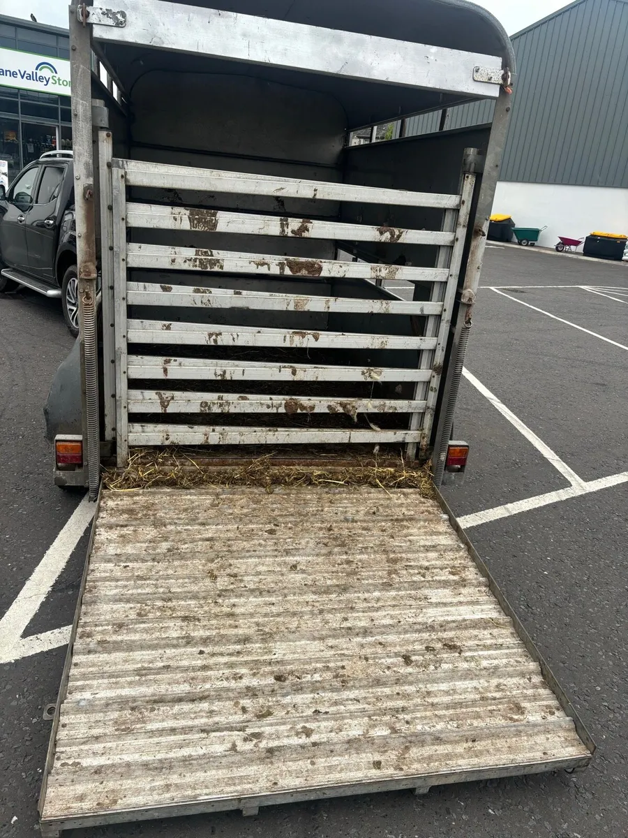 8x5 cattle trailer - Image 3