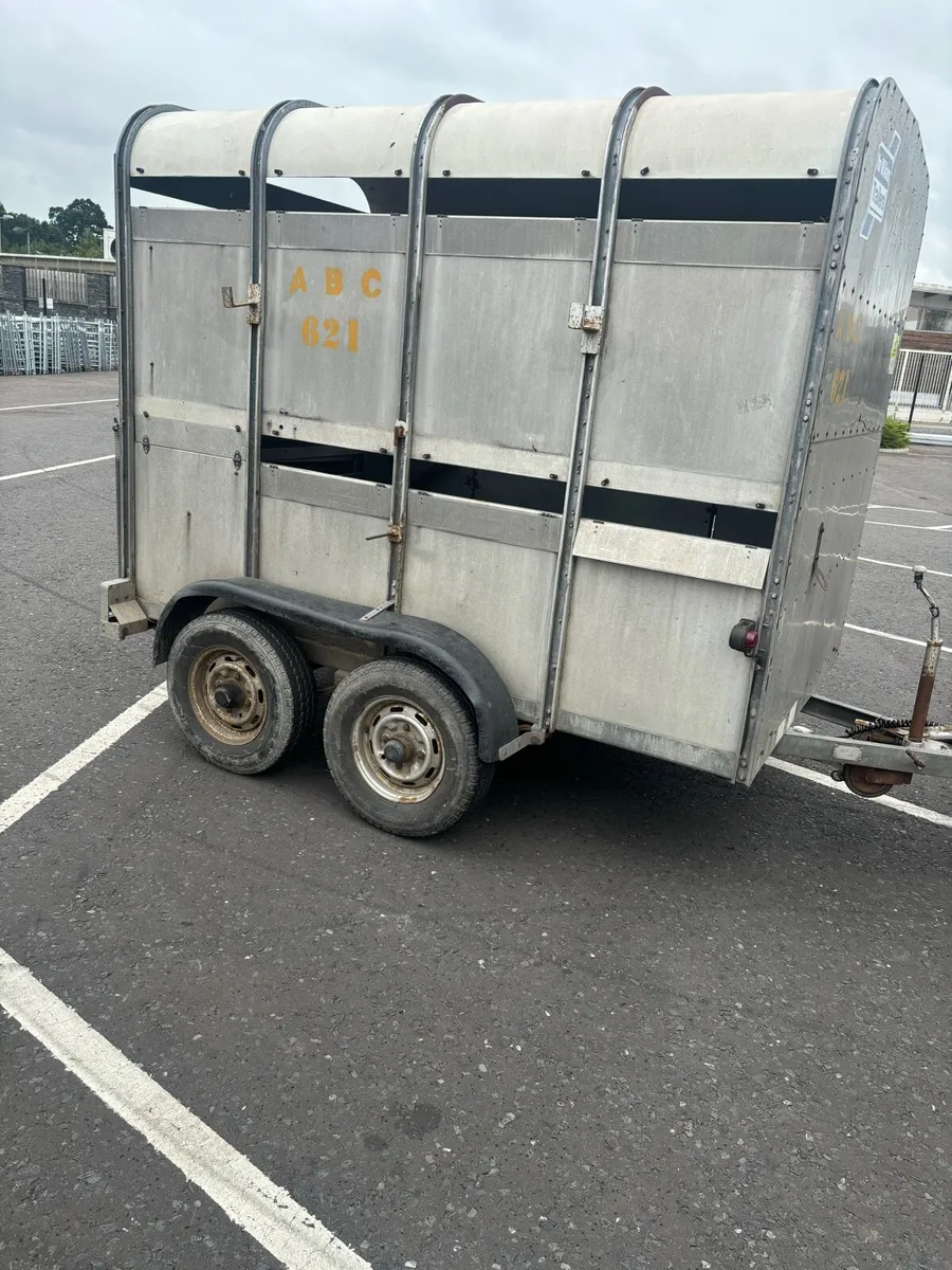 8x5 cattle trailer - Image 4