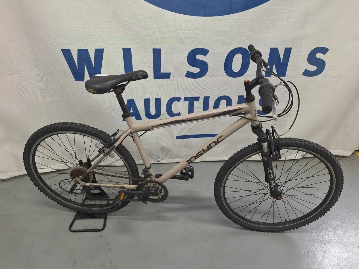 Online Auction Of A Mountain Bike & More! - Image 1