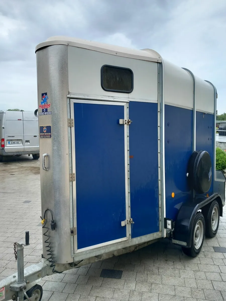 horsebox  mare and foal - Image 2