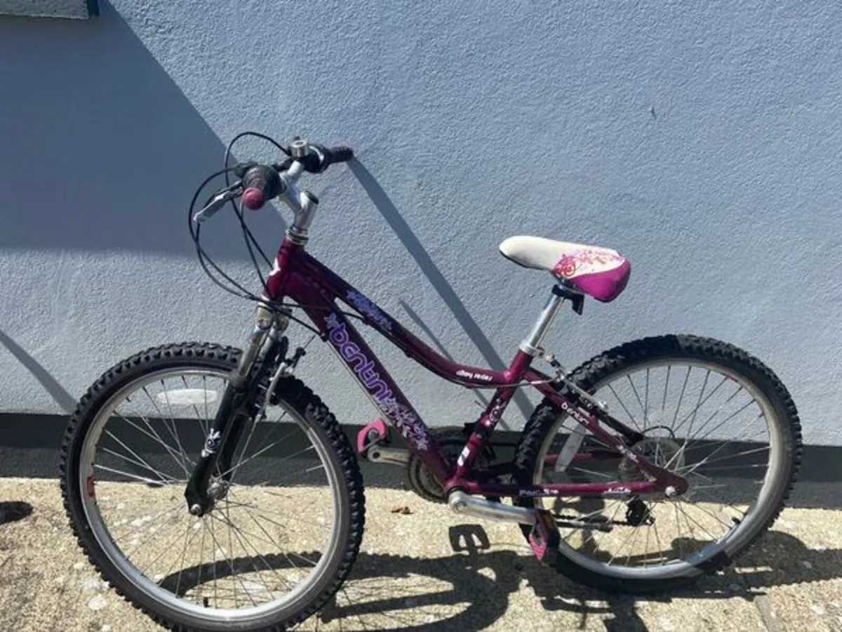 Girls pink Bernini bike with 12 inch frame