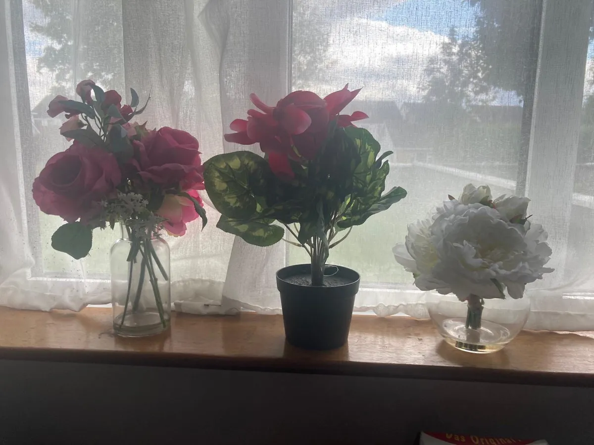Flowers