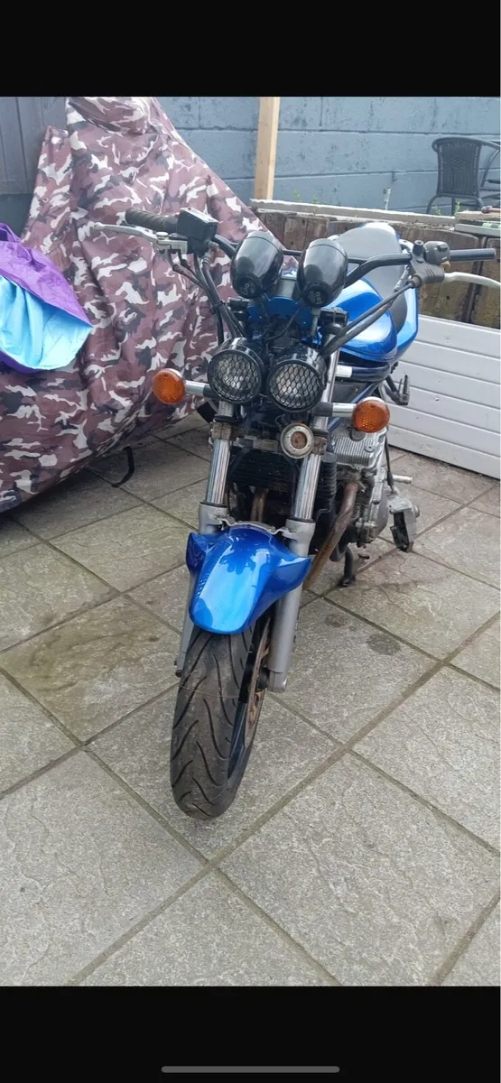Bandit 600 - Image 4