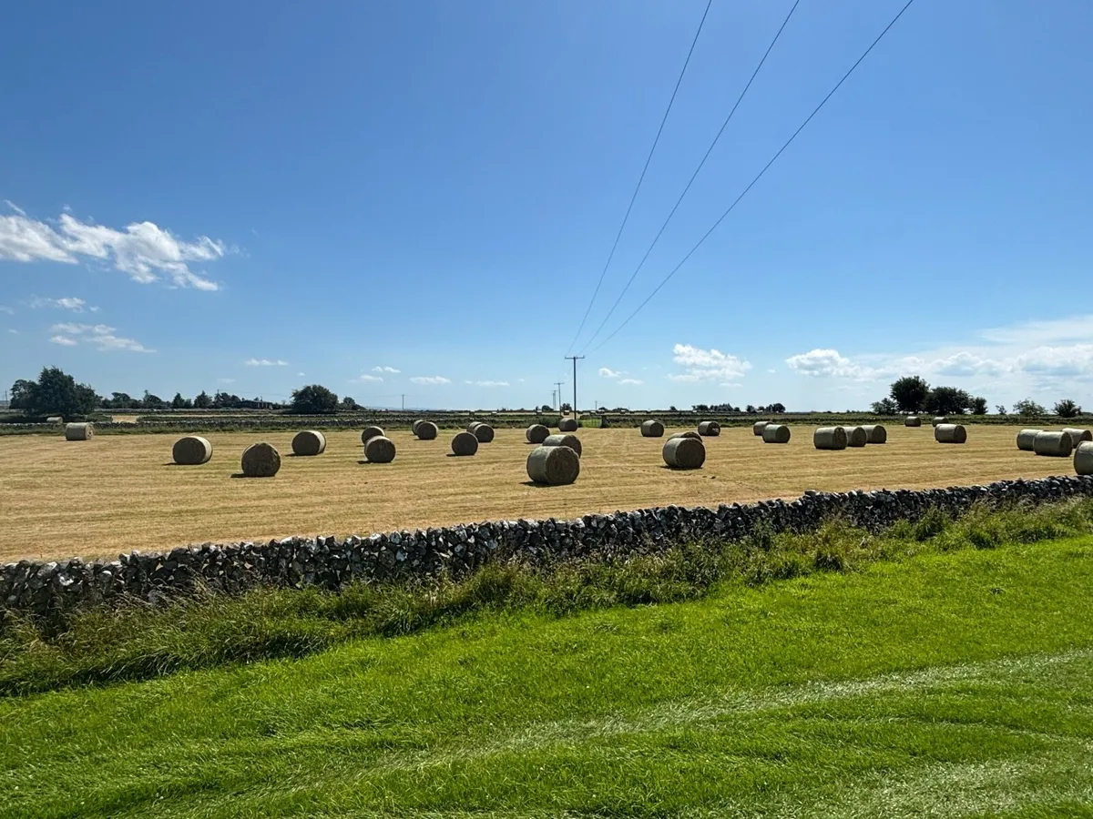 Hay - Image 1