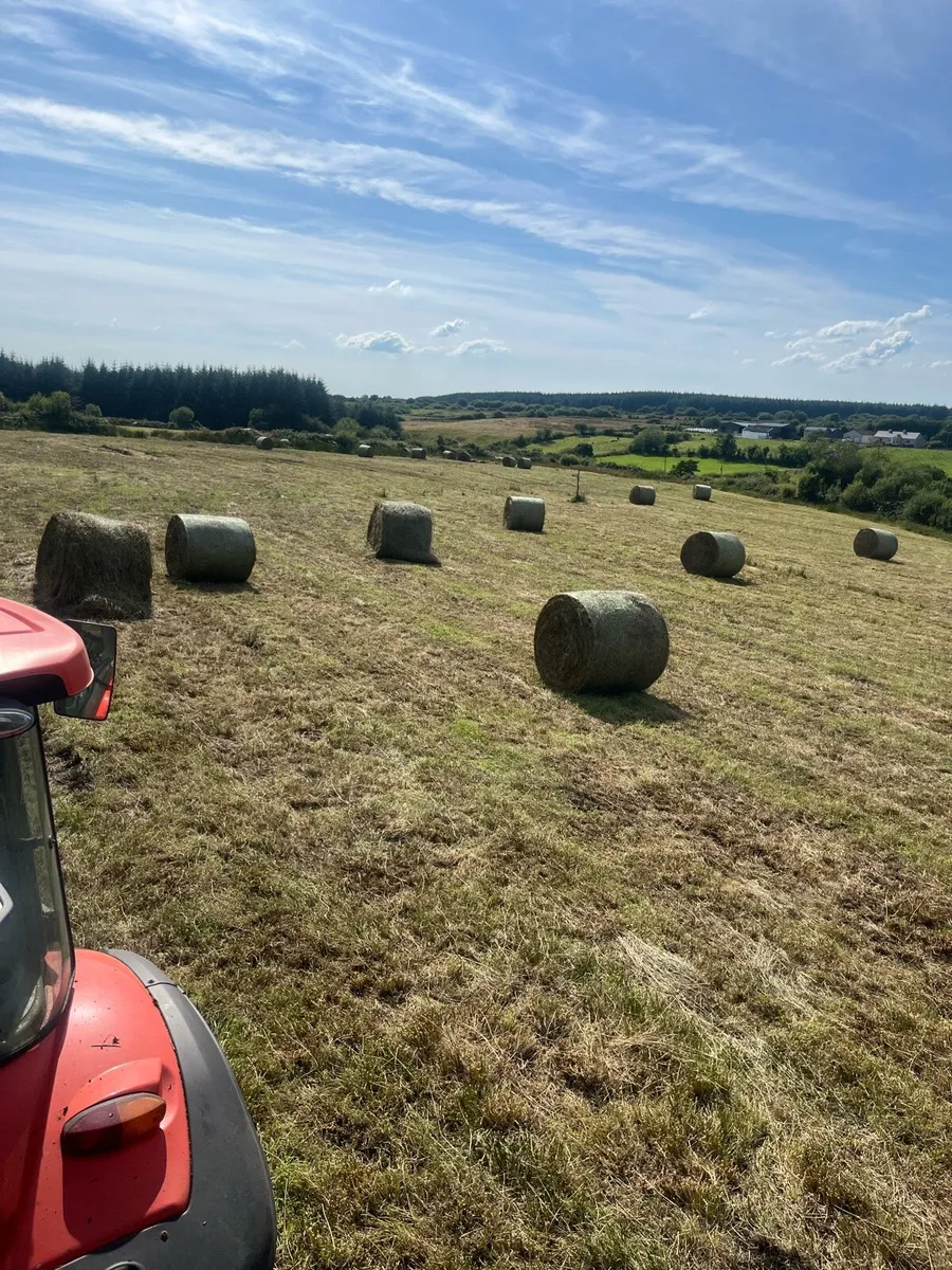 Round baler - Image 3