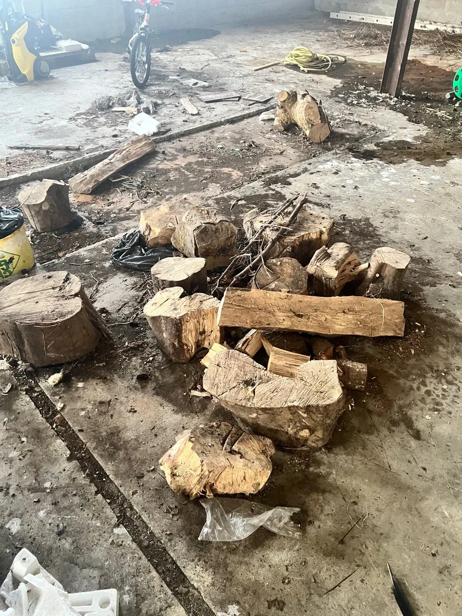 Timber for fire - Image 2