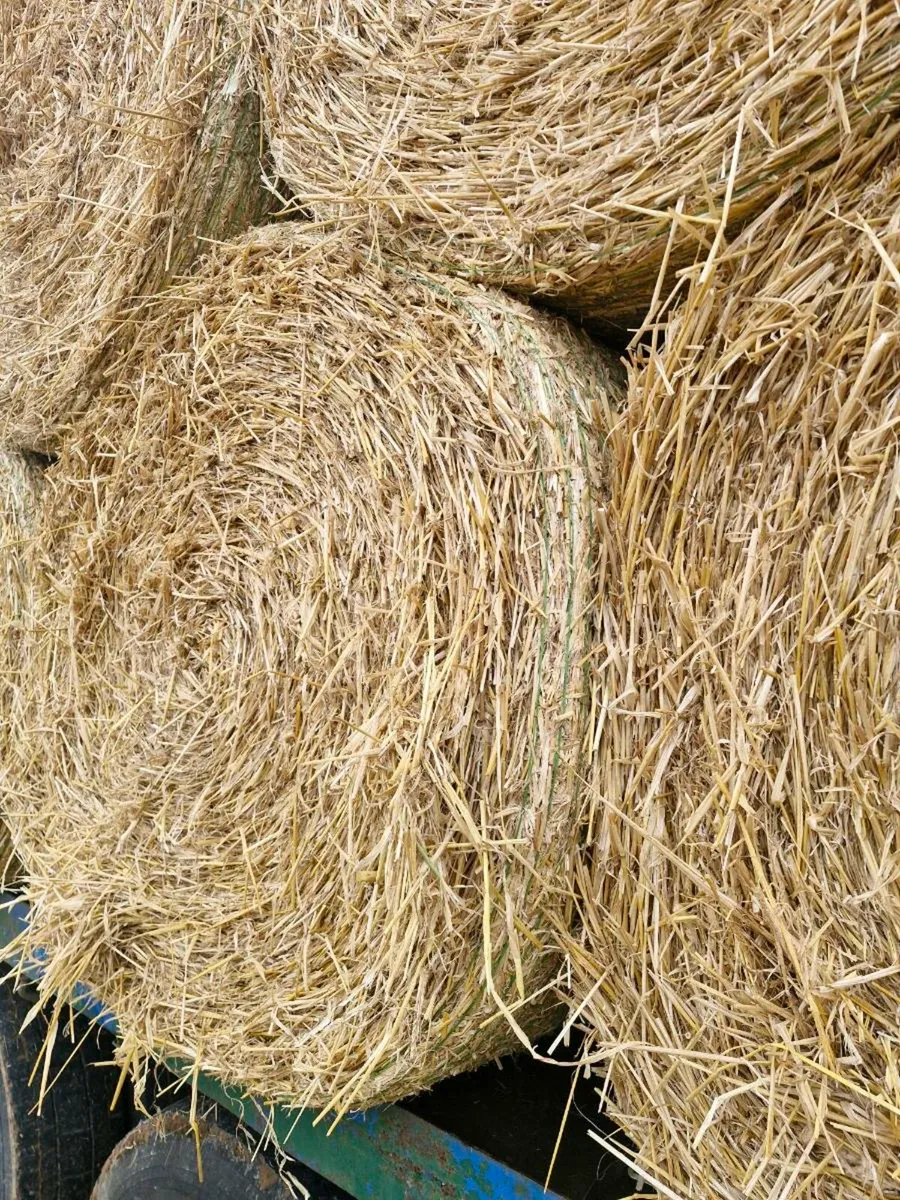 4x4 bales of quality barley straw