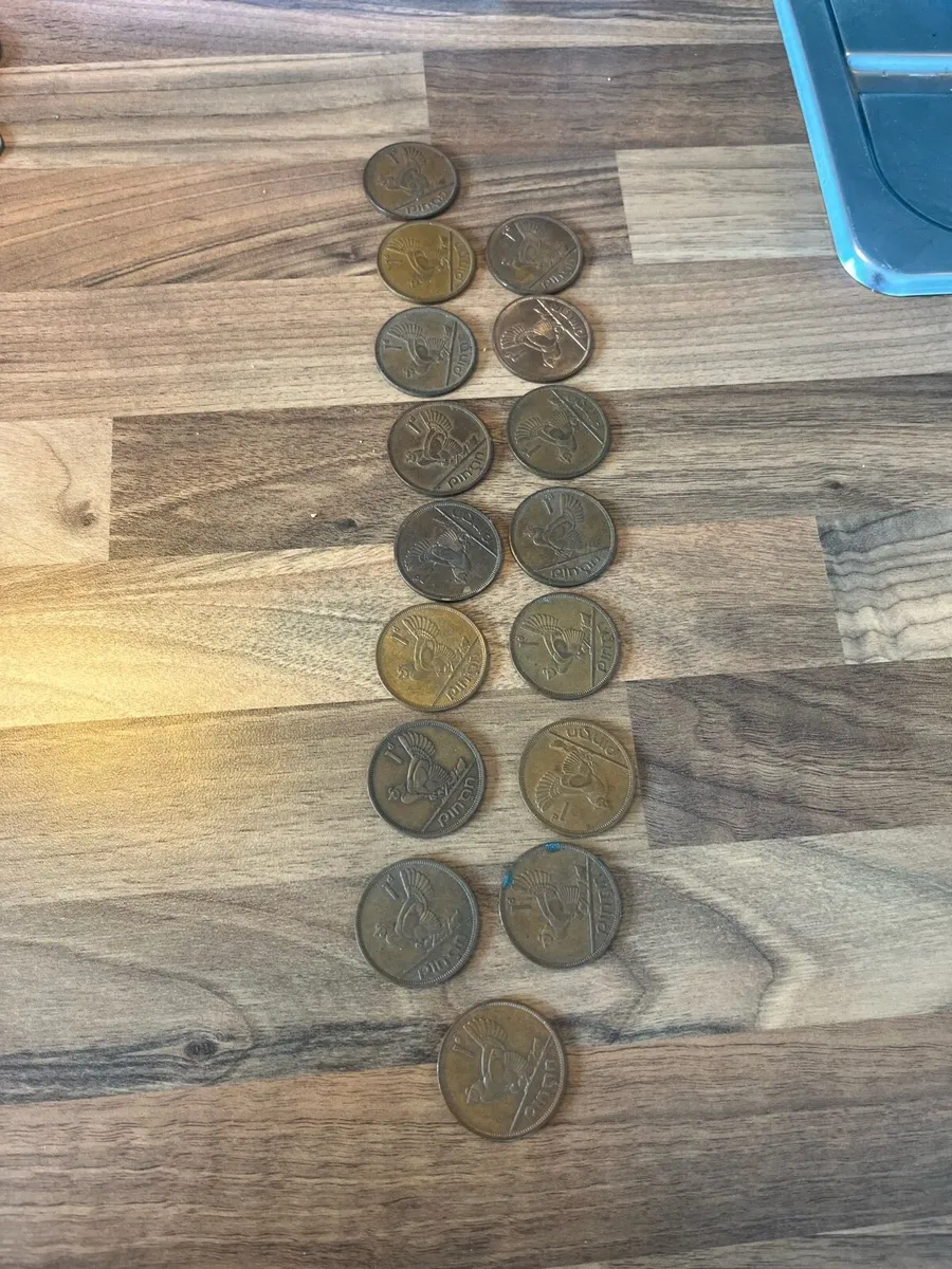 16 Old Irish Pennies - Image 1