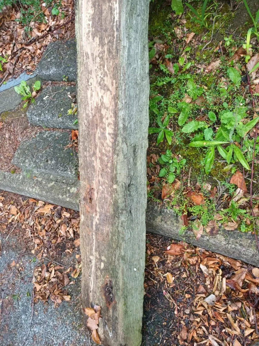 Railway Sleeper - Image 2