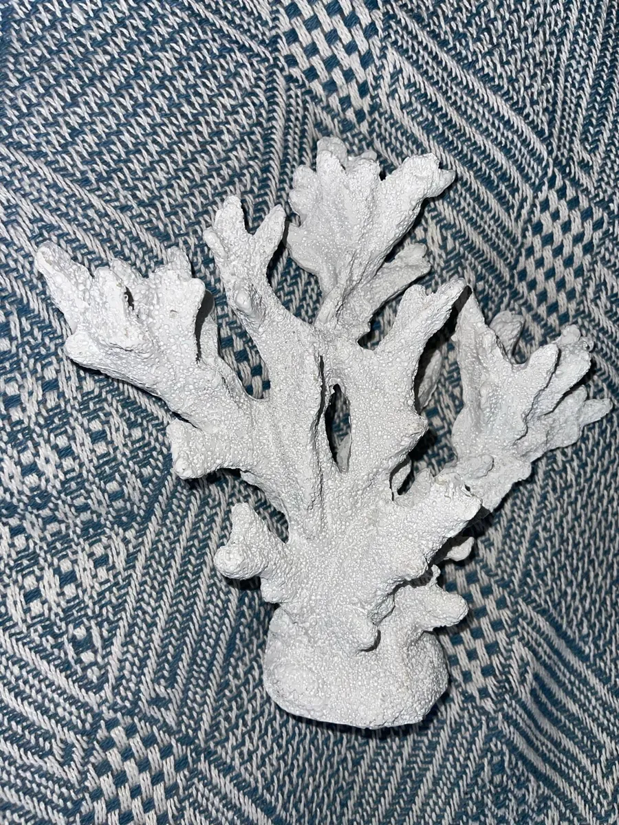 Sea coral room decoration - Image 1