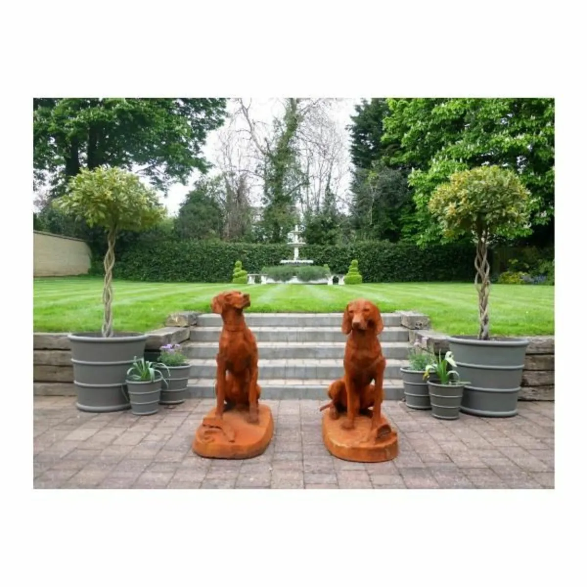 Rusty Pair of Gun Dogs D8839 - Image 2