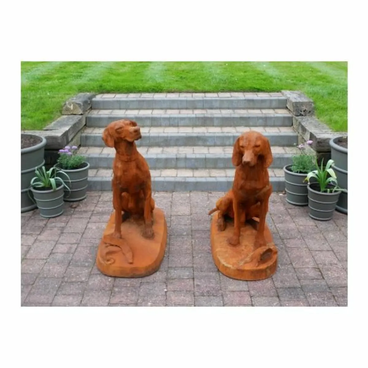Rusty Pair of Gun Dogs D8839 - Image 3