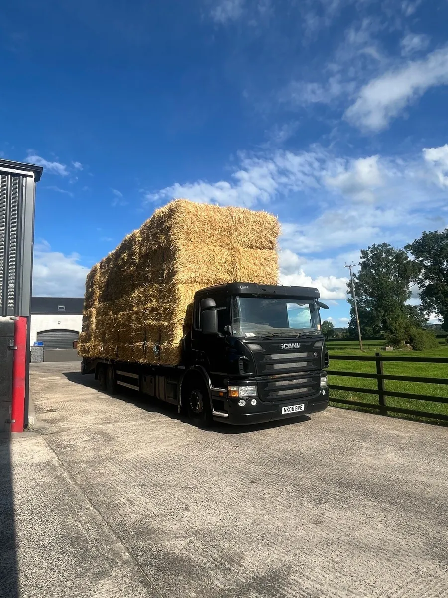 New season 2025 Barley and Wheat straw. - Image 1