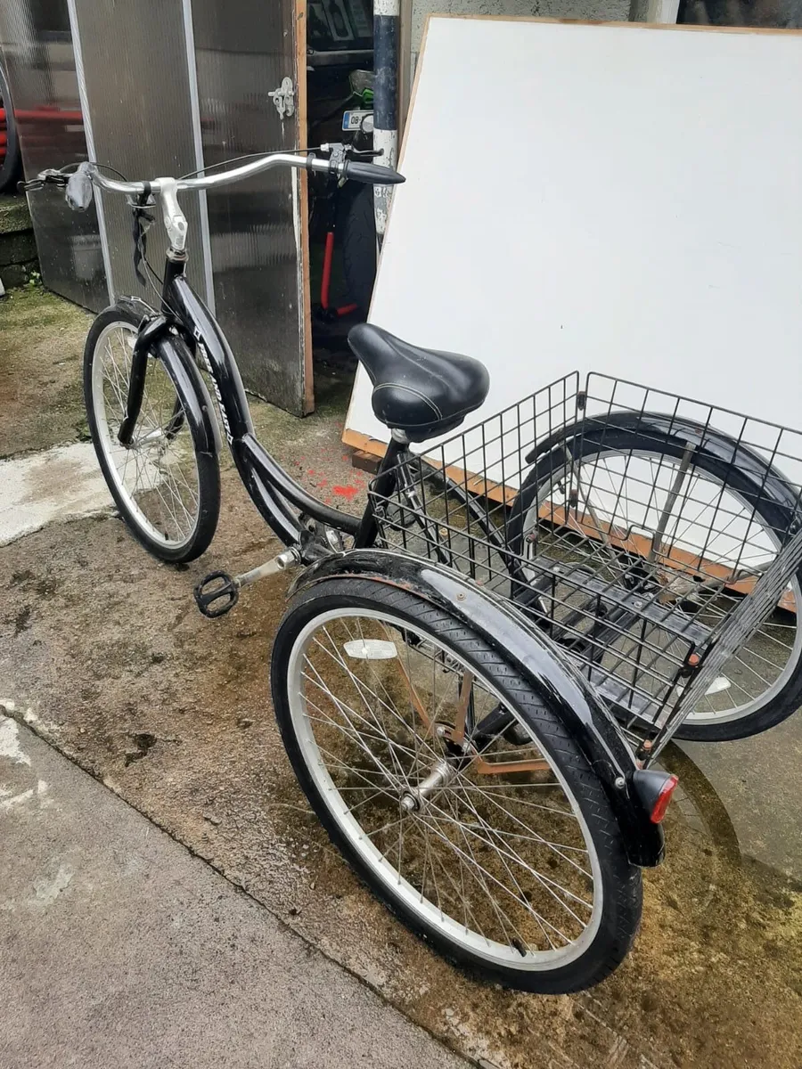 Mobility Tricycle - Image 1