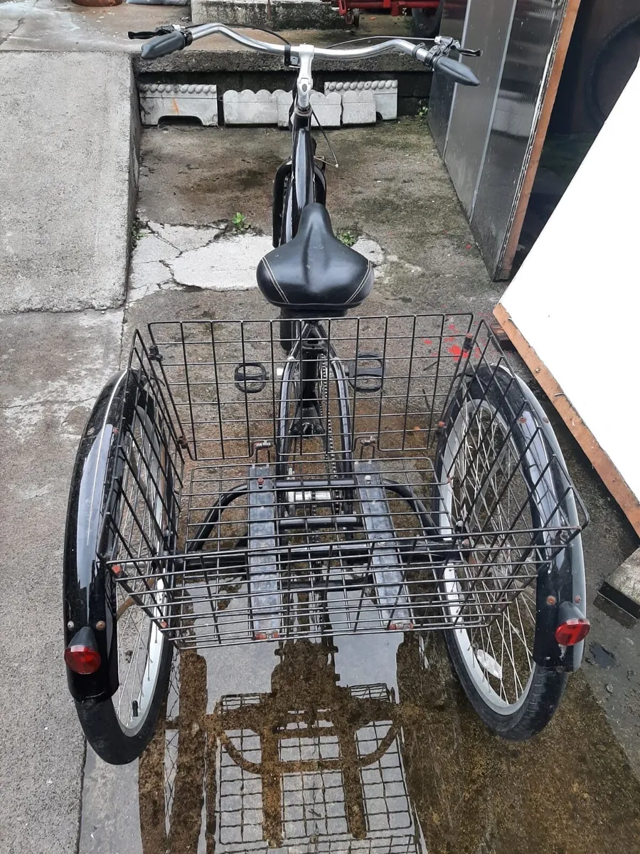 Mobility Tricycle - Image 2