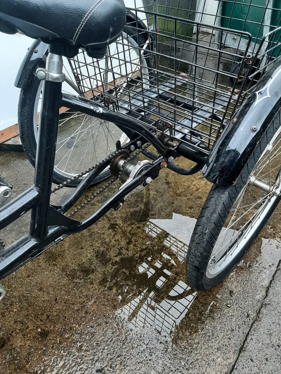 Mobility Tricycle - Image 3