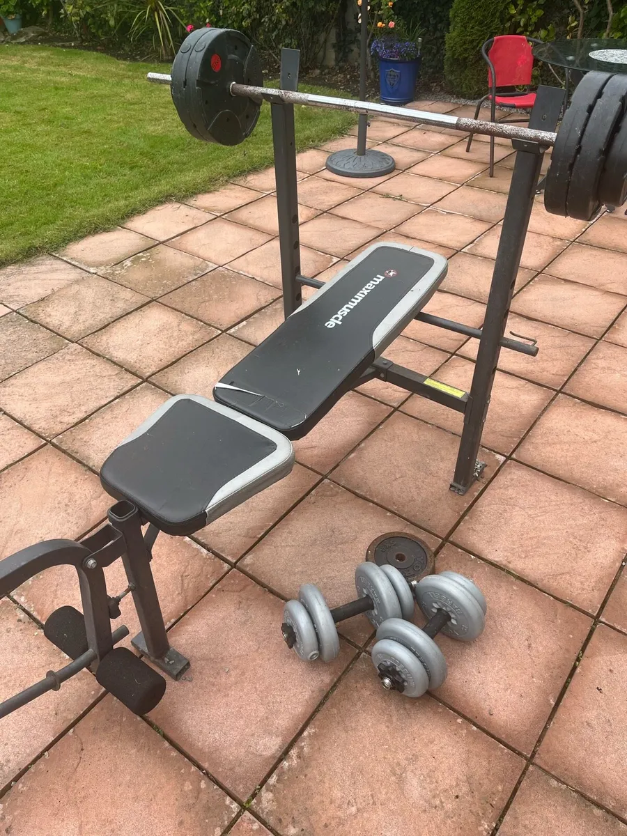Barbell Bench Dumbbell+Plates/Weights - Image 1