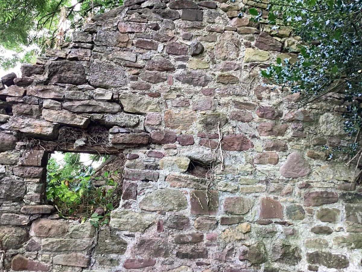 Red sandstone suitable for building . - Image 4